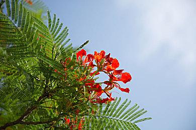 《PGAT 2K23》豪华版和老虎伍兹版发行时间公开